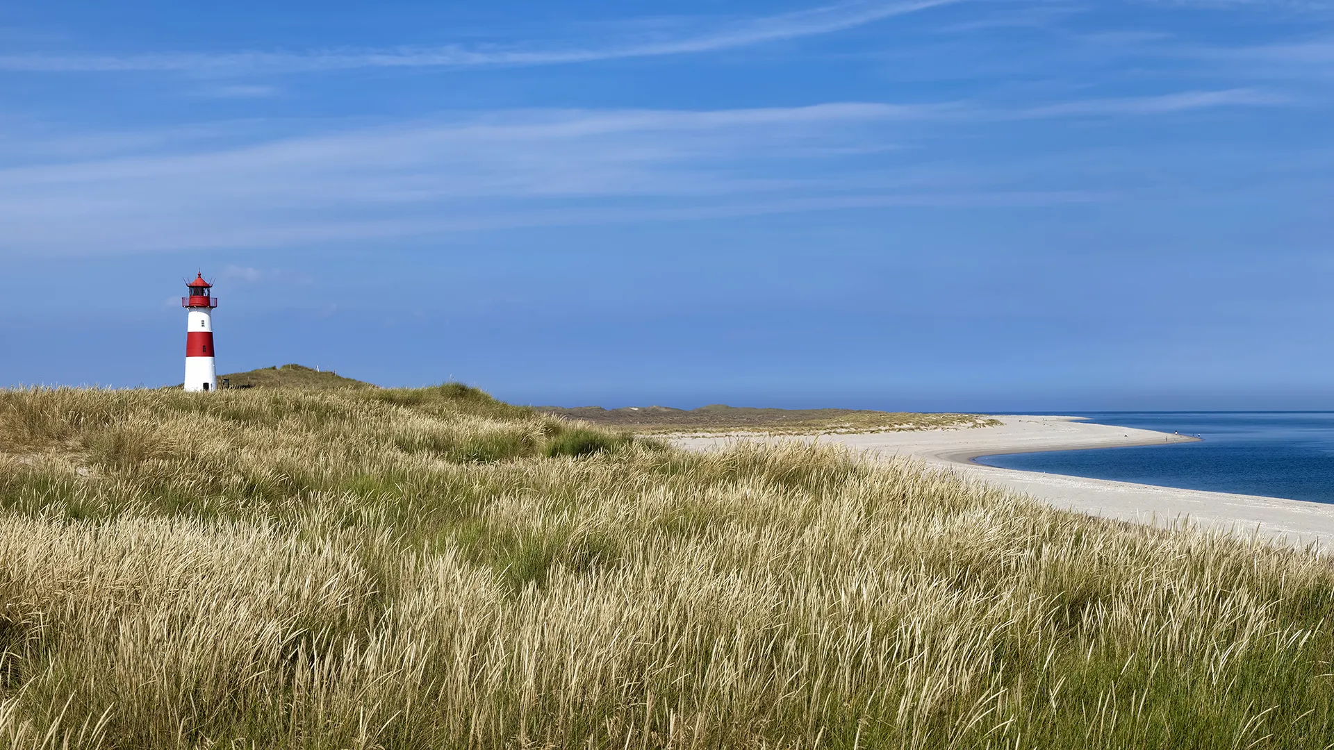 Sandstrand mit Dünen